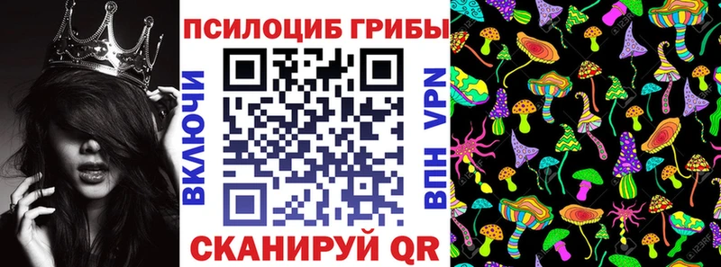 hydra tor даркнет сайт Подольск Псилоцибиновые грибы прущие грибы